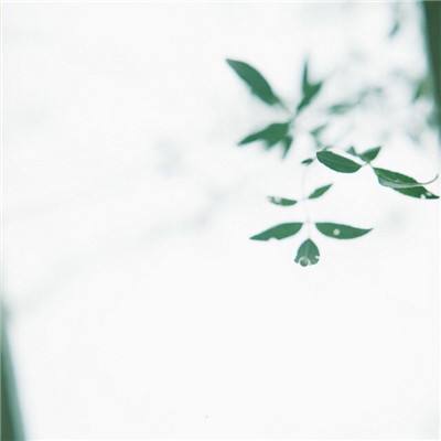 指尖篮球2手游破解最新版下载